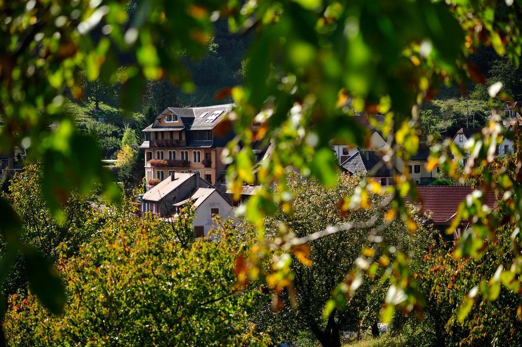 Le Clos Des Sources Hotel & Spa Thannenkirch Εξωτερικό φωτογραφία